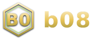 b08 logo